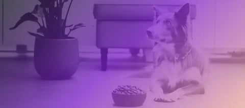 How we dogfooded our solution to streamline ISO 27001 certification