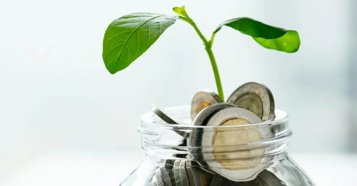 photograph of a jar of coins with a leaf growing out of it