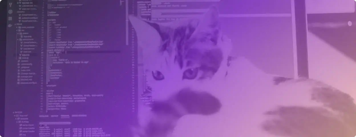 Photo of a cat in front of a laptop with code on it with purple gradient filger