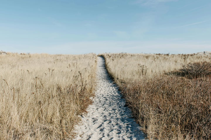 Sand path through grass