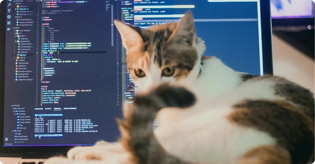 cat sitting in front of a computer with code on it