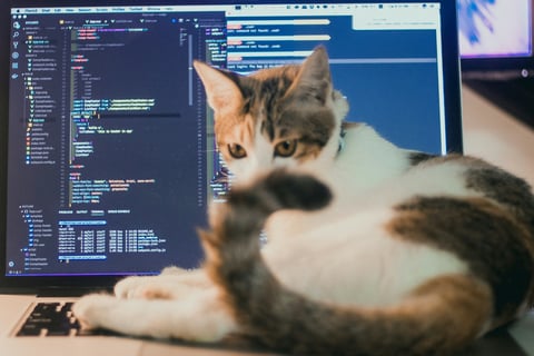 The software supply chain risk you're probably ignoring with Níels
