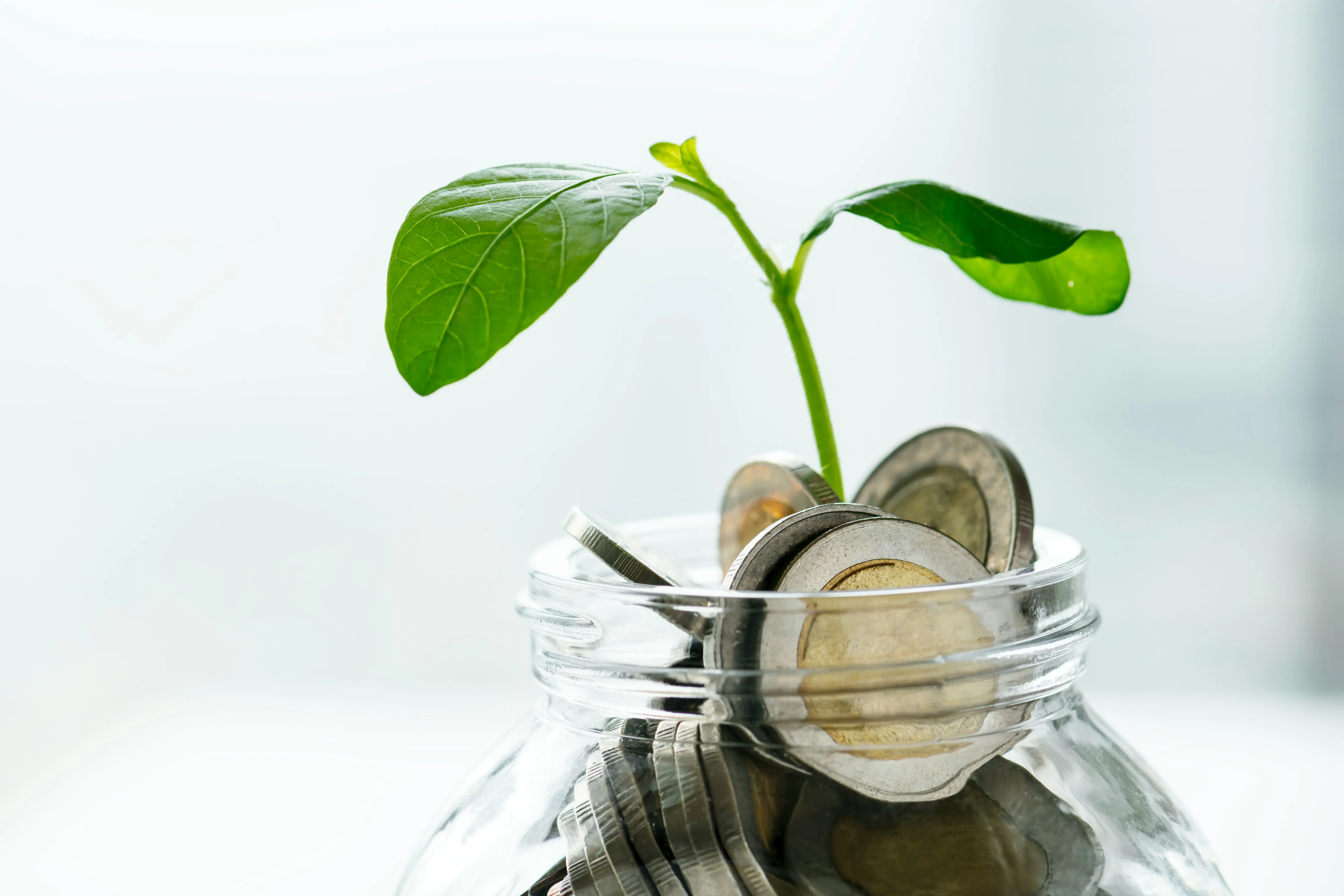 Image of a jar with Euro coins and a plant growing out of it