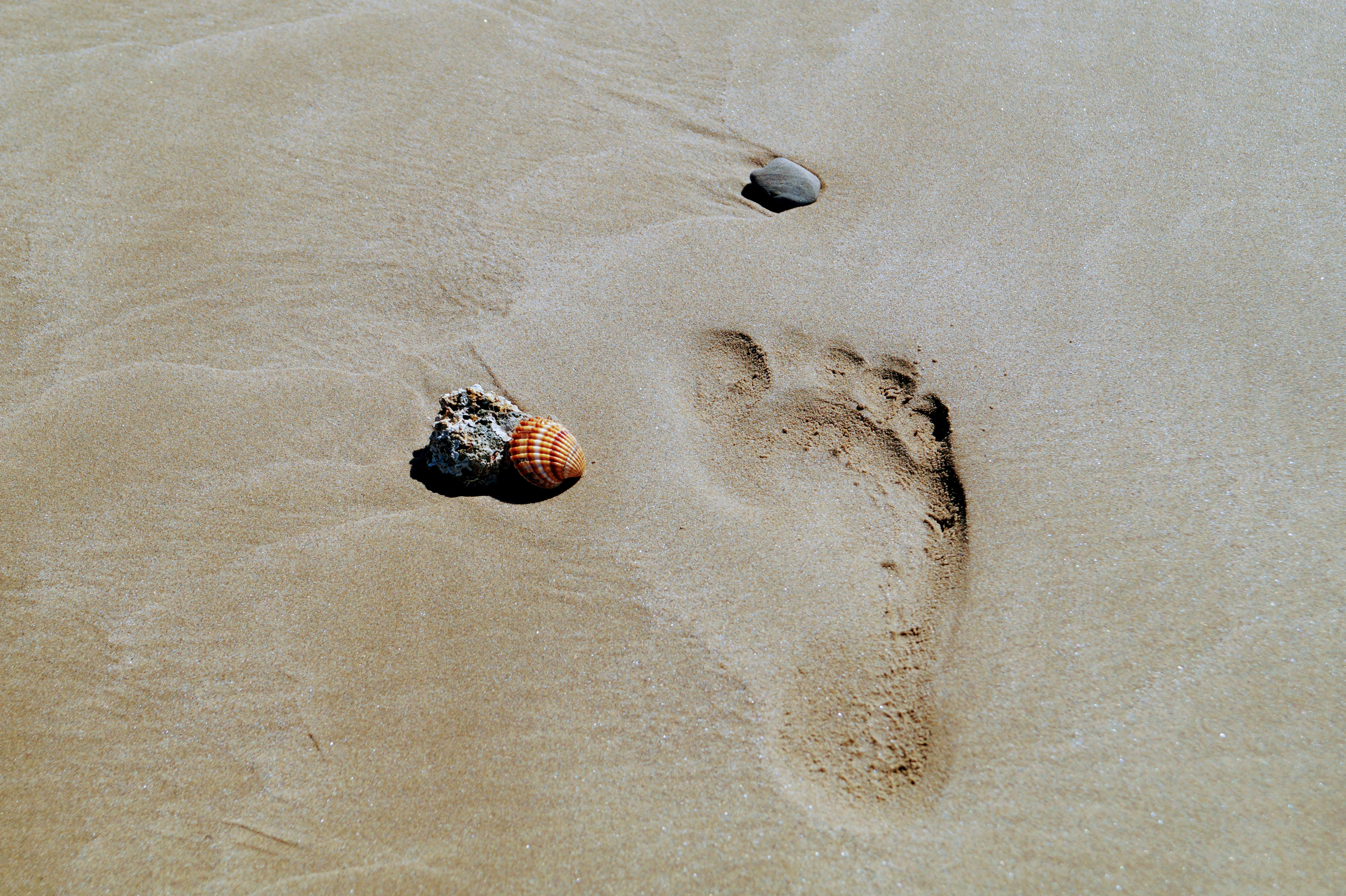 footprint on sand
